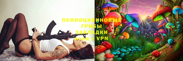 не бодяженный Зеленодольск