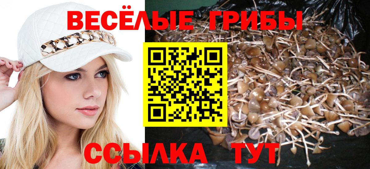 Галлюциногенные грибы ЛСД  Псилоцибиновые грибы мухоморы  Кашира  где можно купить наркотик  Вход с VPN 