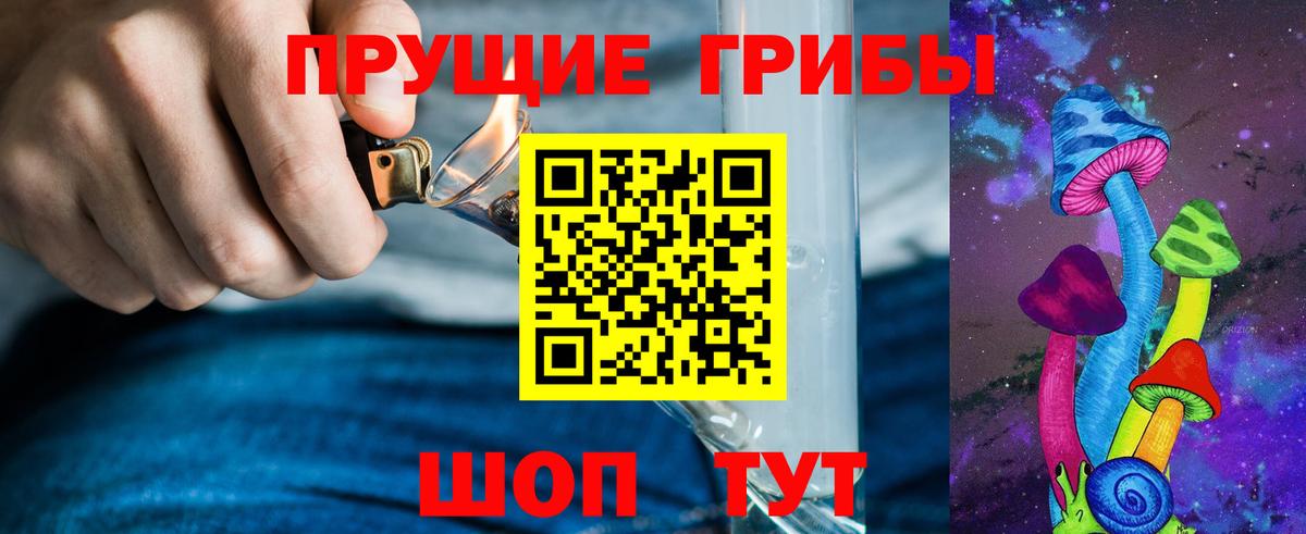 Галлюциногенные грибы Psilocybe Кашира